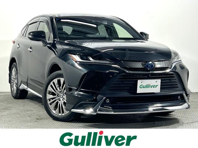 Ź˿͵Υϥꥢˤޤ͵ ͵ӣգ֡Υϥꥢǥϥꥢõʤ饬С塪 1