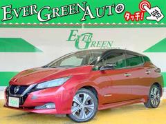 リーフ G 禁煙 衝突軽減ブレーキ 純正SDナビ Bluetooth 360°モニター 地デジ ETC シートヒーター LED フォグ 中古車画像