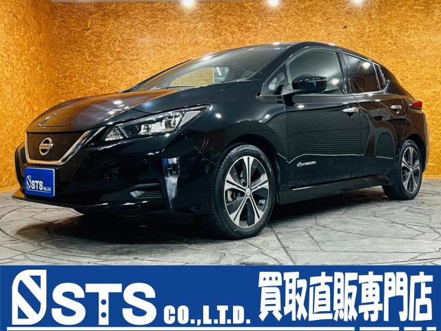 リーフ Ｘ　１０万台記念車　ワンオーナ　プロパイロット　踏み間違い防止アシスト　ブラインドスポットモニタ　ナビ・ＴＶ　バックカメラ　Ｂｌｕｅｔｏｏｔｈ　全席シートヒーター　ステアリングヒーター　ＬＥＤヘッドライト　１７インチＡＷ