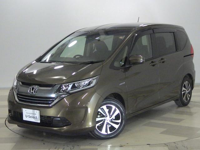 ե꡼ɥϥ֥å ϥ֥åɡţءر֡ 0509036A30251115W002 1