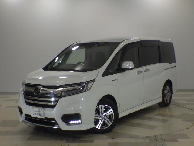 ۥ ƥåץ若󥹥ѡ ѡϥ֥åɣǡţإۥ󥷥󥰡ر֡ե륪ȥ