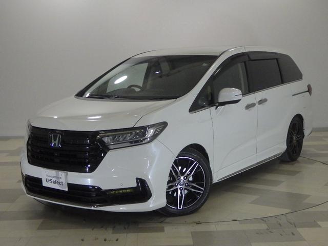 ǥåϥ֥å 塧ȣţ֥֥롼ȡţءر֡ʥ 0509038A30251108W001 1