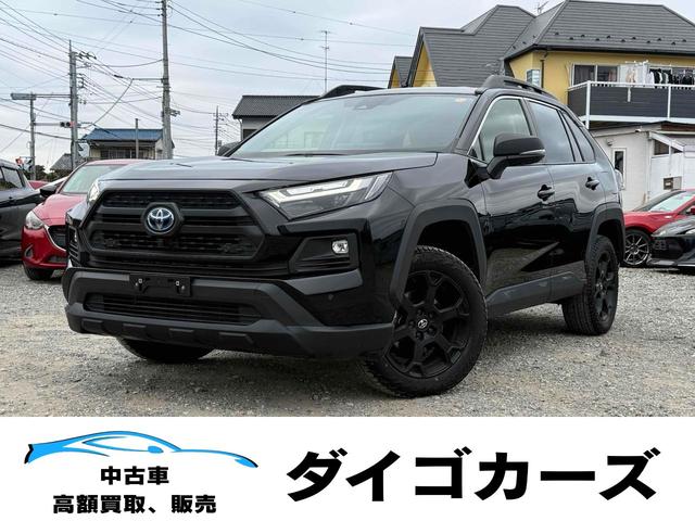 ȥ西 ң֣ ϥ֥åɥɥ٥㡼եɥѥåɣɡףġϥ