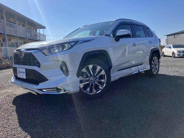 ȥ西 ң֣ ǡڥѥåǥꥹ륷㥤󥭥å