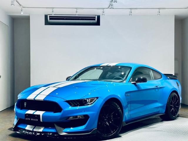 GT350 マスタング Liquivnyl フロントスプリッター S550 LVA 2015-2021 Shelby GT350 Front Splitter - LiquiVinyl