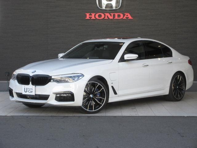 £ͣ ꡼ 塡ͥݡĥѥեޥ󥹡ե륻ԣ֡ϥ