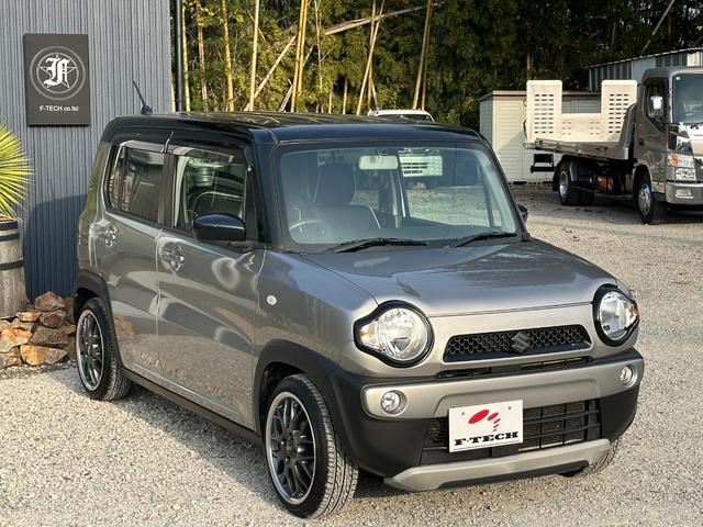  ϥ顼 ǡͣԣ®󡡣££ӥߥۥ