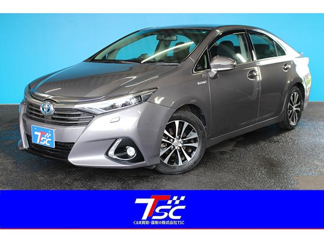 ȥ西 ӣ ӡåѥåϻ͡ȥ롼ȥ