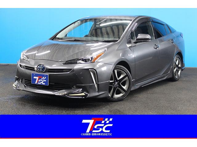 ȥ西 ץꥦ ġ󥰥쥯󡡥ǥꥹե륨եƥ󥹡ˣӣĥʥ