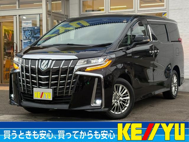 ϶ȣǯǰ紶ե볫桪 롼׺߸˾ʾŹޤΦ̵ʰξ 1