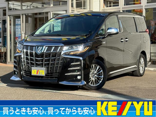 ȥ西 եɥϥ֥å ӣҡåѥå