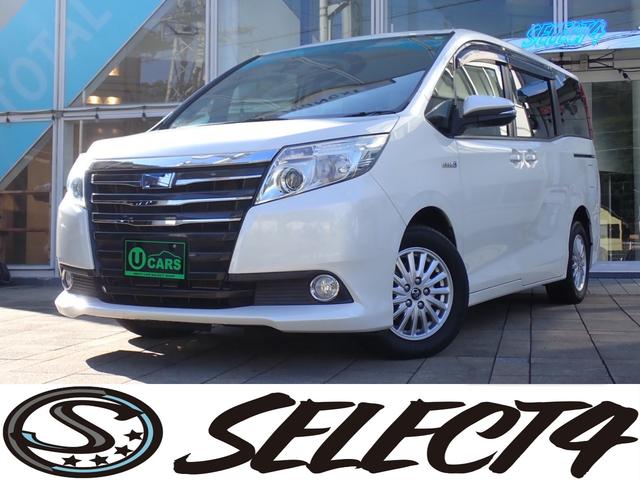 Υ ϥ֥åɣǡξ¦ѥ饤ɥɥҳʥӡԣ 0510741A30251031W002 1