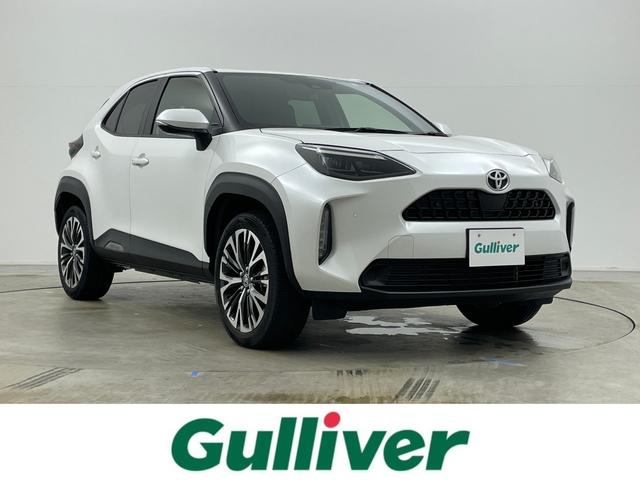 ȥ西 ꥹ ʥӡȥҡѥХåɥ