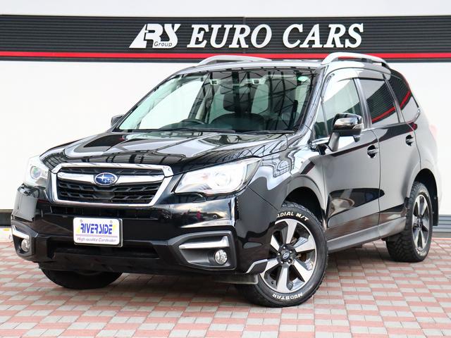 Х ե쥹 ءݥ֥쥤ɥХ󥹥ɥեƥѥåʥӡե륻