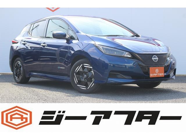 初期型リーフのバッテリー情報』 日産 リーフ 2010年モデル の 初期型リーフのバッテリー情報』 日産 リーフ 2010年モデル の