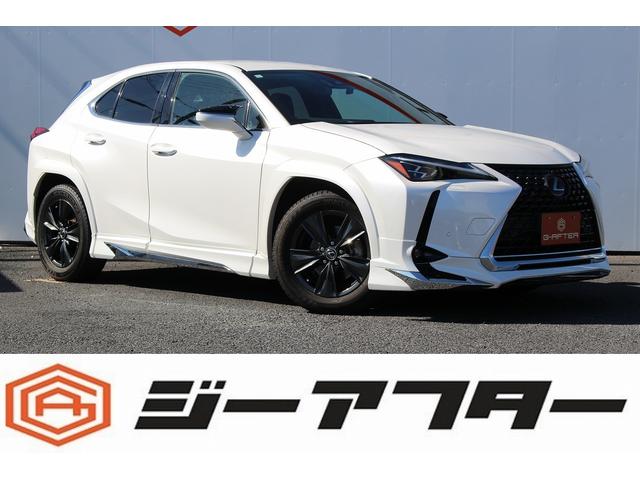 쥯 գ գأر֡ǥꥹե륨ʥ