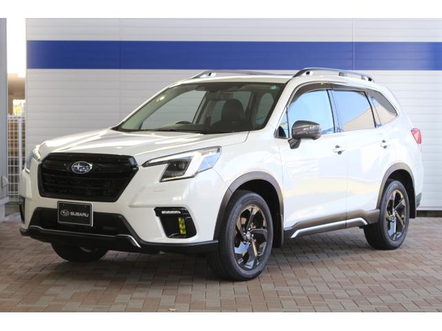 tHX^[(Xo) X|[c Îԉ摜