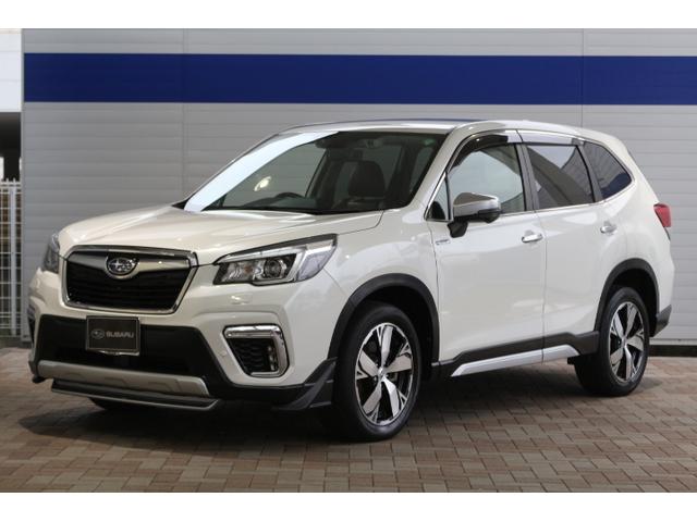 tHX^[(Xo) AhoX@irEdsbEhRt Îԉ摜