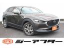 carPhoto