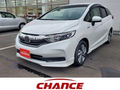 ۥȥ롡ϥ֥åɡۥ󥷥󥰡롼ȥ롡Хå