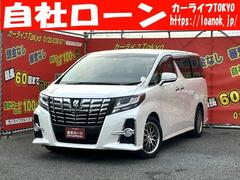 トヨタ　アルファード　２．５Ｓ　ＴＫ０１１９　トヨタ純正ＳＤナビ　ワンセグ