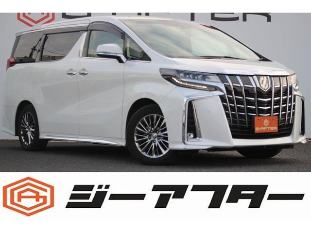 ȥ西 ե ƥ֥饦󥸣ӡر֡ʣ£̣ʥ