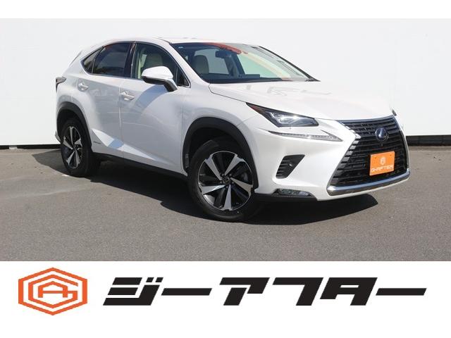 쥯 Σ Σأ衡С̡ر֡ʥ