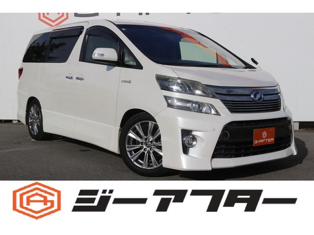 ȥ西 եϥ֥å ڣҡر֡ʥ˥ưꥢ