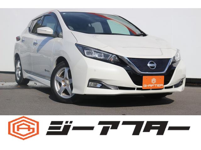 リーフ(日産) Ｘ　１０万台記念車　禁煙車　プロパイロット　純正ナビ　フルセグＴＶ　バックカメラ　衝突軽減　ＬＥＤヘッドライト　ＥＴＣ　シートヒ−タ−　　ブラインドスポットモニタ−　スマ−トキ−　純正１６ＡＷ　電動格納ミラ− 中古車画像