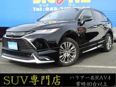 ȥ西ϥꥢڡ쥶ѥåʥӥ󡡥֥롼ȥ