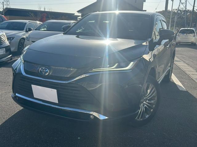 ȥ西 ϥꥢϥ֥å ڡ쥶ѥåХå顡ʣ£̥