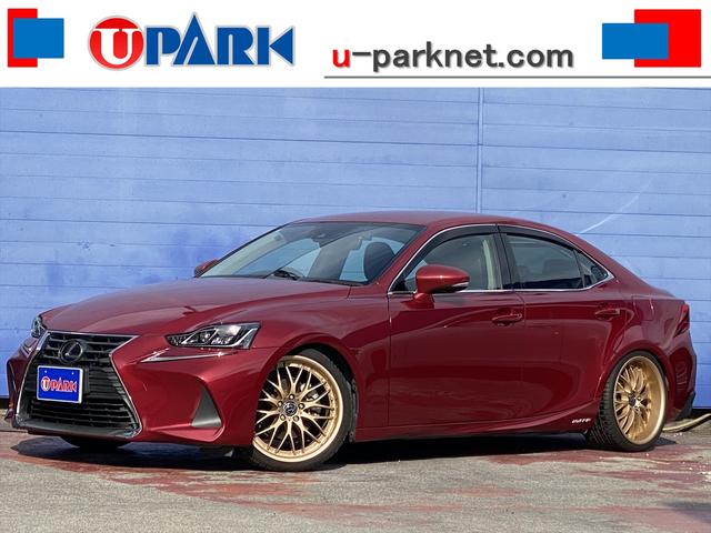 쥯 ɣ ɣӣ衡С̡ե륻ʥӡ