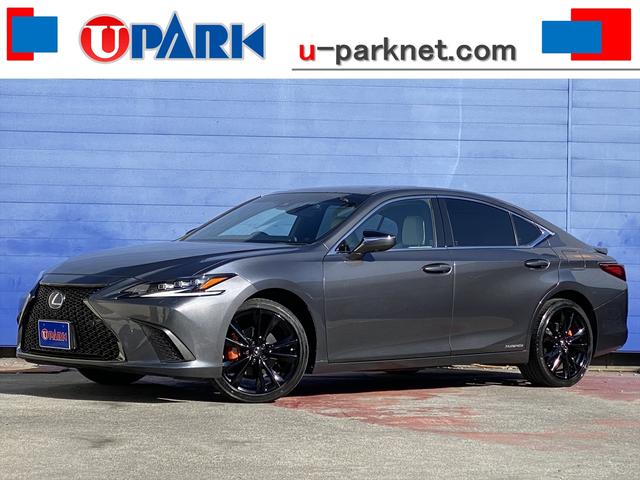 쥯 ţ ţӣ衡ƥݡġ롼