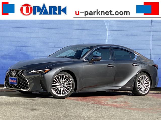 쥯 ɣ ɣӣ衡С̡ե륻ʥӡϥ