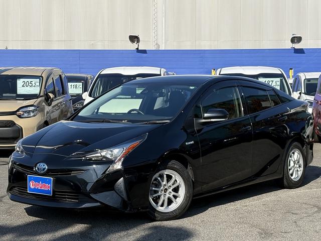 ȥ西 ץꥦ ӡեƥ󥹡ʥӣԣ֡Хå