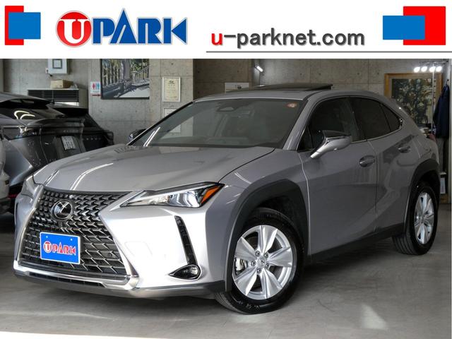 Φɻ촰Υ桼ѡꥢŹǤ ɤǤظϿ١رǼ֡ٲǽڤˤ̲ 1