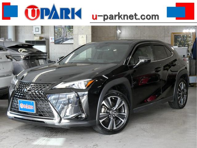 Φɻ촰Υ桼ѡꥢŹǤ ɤǤظϿ١رǼ֡ٲǽڤˤ̲ 1