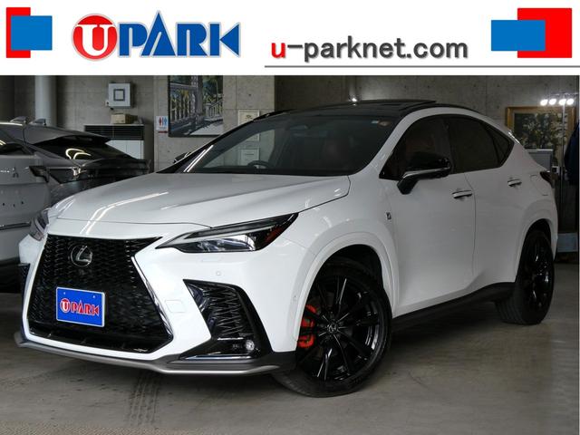 Φɻ촰Υ桼ѡꥢŹǤ ɤǤظϿ١رǼ֡ٲǽڤˤ̲ 1