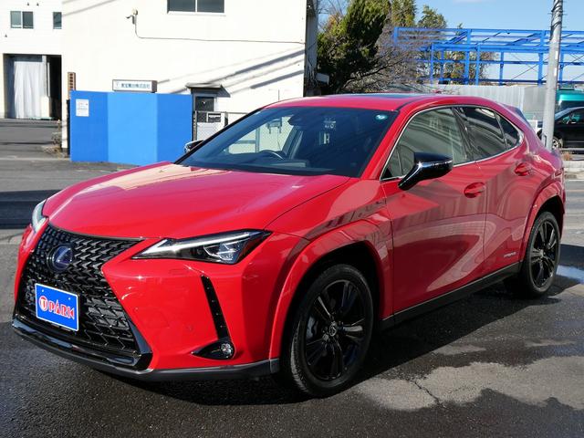 Φɻ촰Υ桼ѡꥢŹǤ ɤǤظϿ١رǼ֡ٲǽڤˤ̲ 1