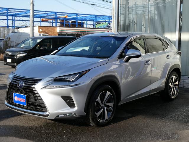 LEXUS NX NX300H I PACKAGE