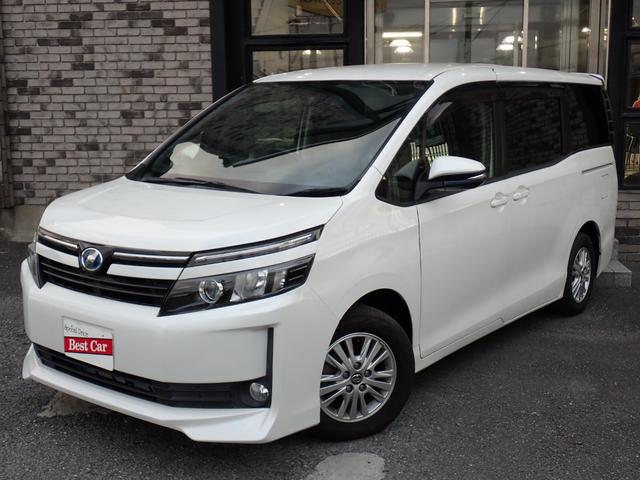 ȥ西  ֡꡼ʥӡե륻ԣ֡£