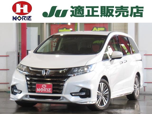 ۥ ǥåϥ֥å ϥ֥åɥ֥롼ȡţإۥ󥷥󥰡ʥӣ£ԡӣϿ