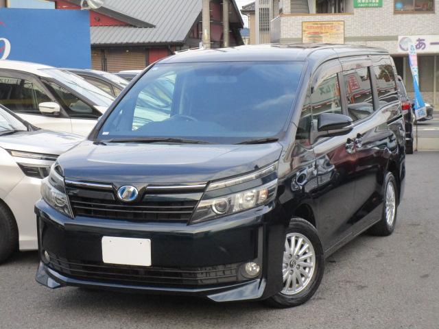 ȥ西  ϥ֥åɣ֡ʥӣԣ֥֥롼ȥ³¥顡ξ¦ѥ饤ɥɥ̣ţĥإåɥ饤