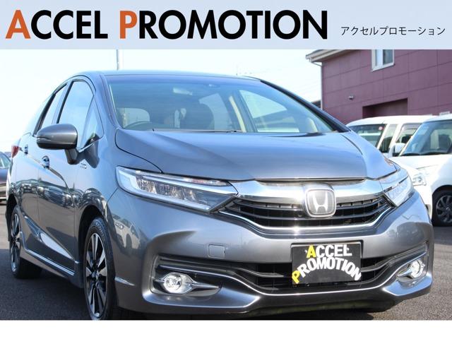 Vg(z_) nCubhw@z_ZVO@SΉQNۏؕt@Ԍt@Փˌyu[L@ir@obNj^[@a@dsb@N[YRg[@A~zC[@V[gq[^[@h~t@AChOXgbv Îԉ摜