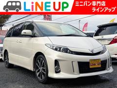 ȥ西ƥޡ饹кѤߡץߥݾ