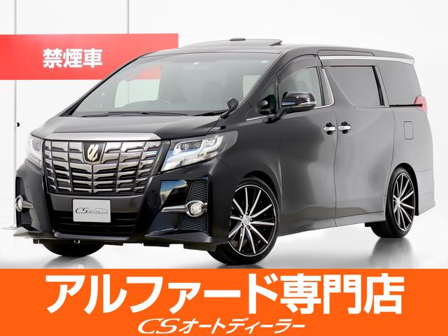 トヨタ アルファード ２．５Ｓ　Ａパッケージ　タイプブラック　（禁煙車）（サンルーフ）（社外２０インチアルミ）（ＴＥＩＮ車高調）黒ハーフレザー／アルパインＢＩＧ－Ｘ９型ナビ／後席モニター／両側自動ドア／パワーバックドア／クルーズコントロール／クリアランスソナー／