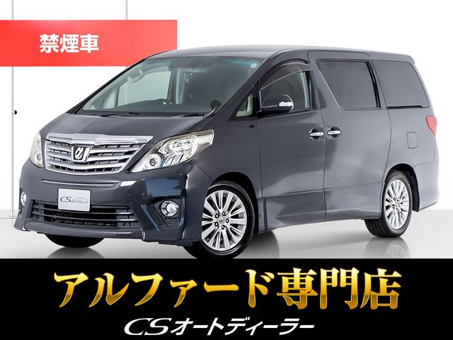 ֣ãӥǧ֡׺Ĺǯݾڴ ȥŸͤ̿ؼξãӥȥǥ顼żŹ 1