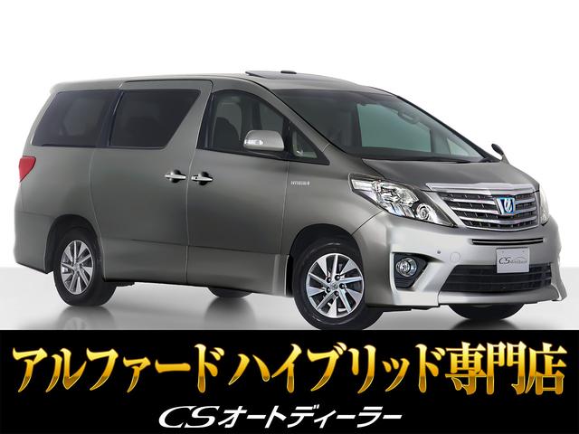 ֣ãǧ֡׺Ĺǯ磴бݾڴ ȥŸͤ̿ؼξãӥȥǥ顼żŹ 1