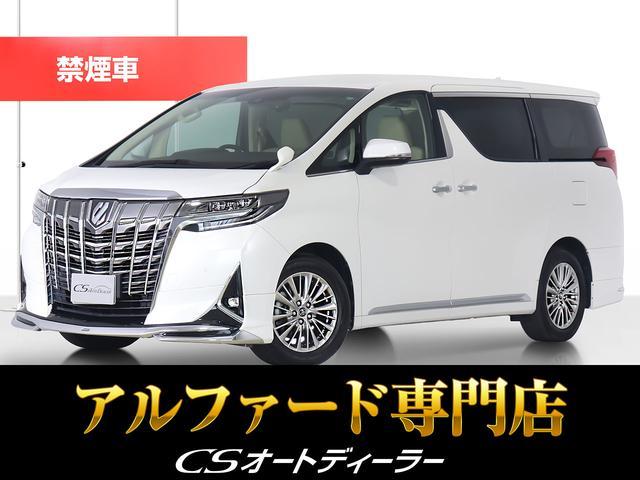 ȥ西 ե ǡʶر֡ˡϿˡʥǥꥹˡ˼ס˽ʥӡʥ˥ȥ西եƥ