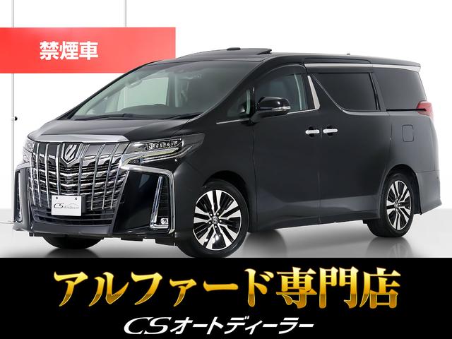 ȥ西 ե ӡåѥåʶر֡ˡʣʣ£̥ɡˡʥĥ󥵥롼աˡʥȥ西եƥ󥹡ϣ륫顡饨ƥ֥